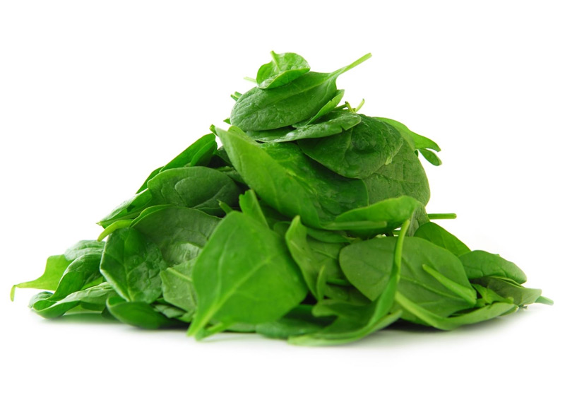 Rau mồng tơi chứa hàm lượng lớn các chất dưỡng trắng, dưỡng ẩm