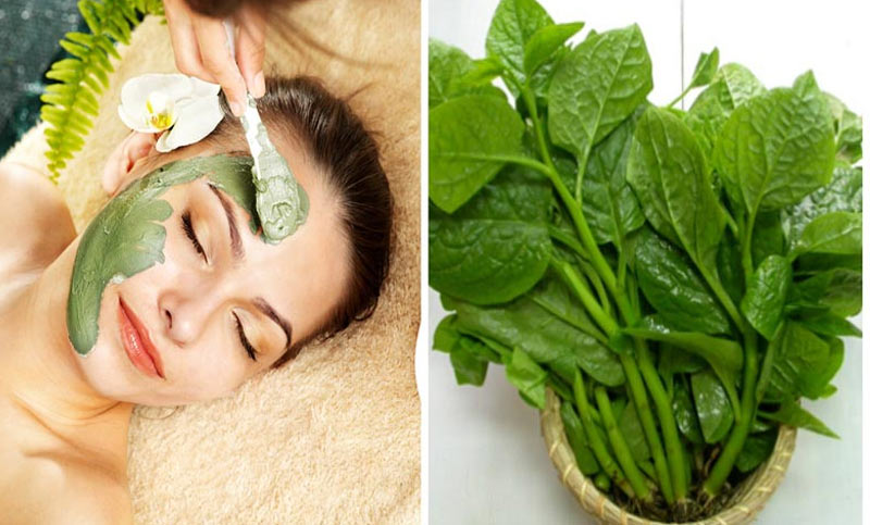 Chị em chỉ nên đắp mặt nạ rau mồng tơi tối đa 3 lần/tuần