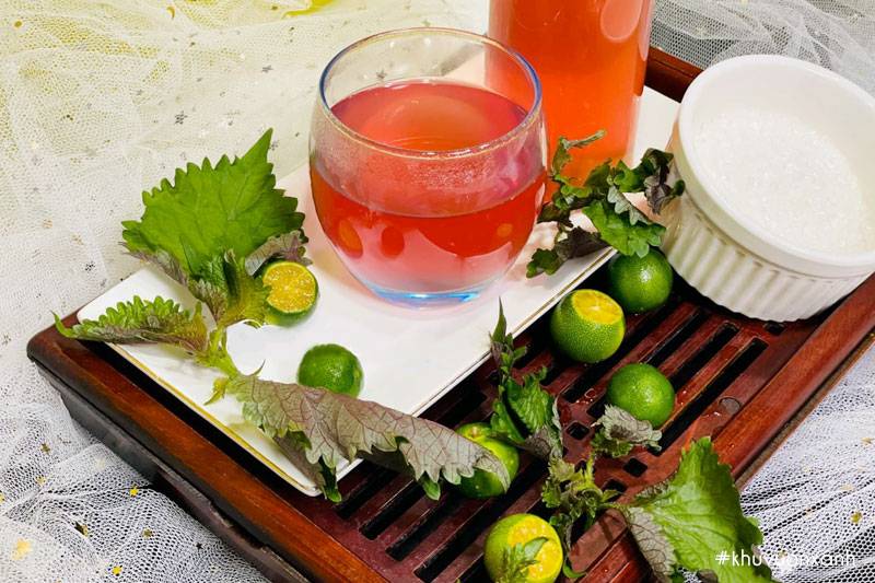 uống nước lá tía tô